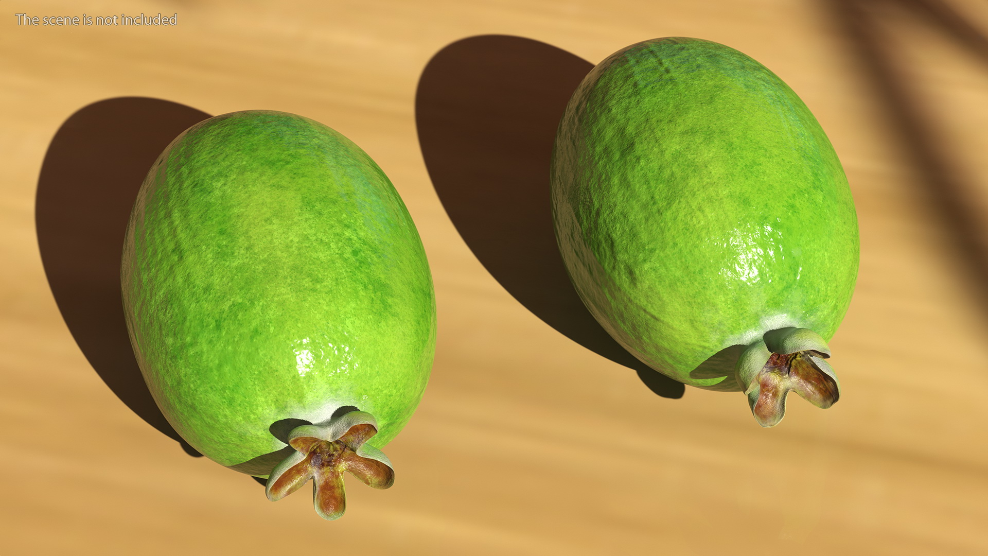 Feijoa Fruit 3D