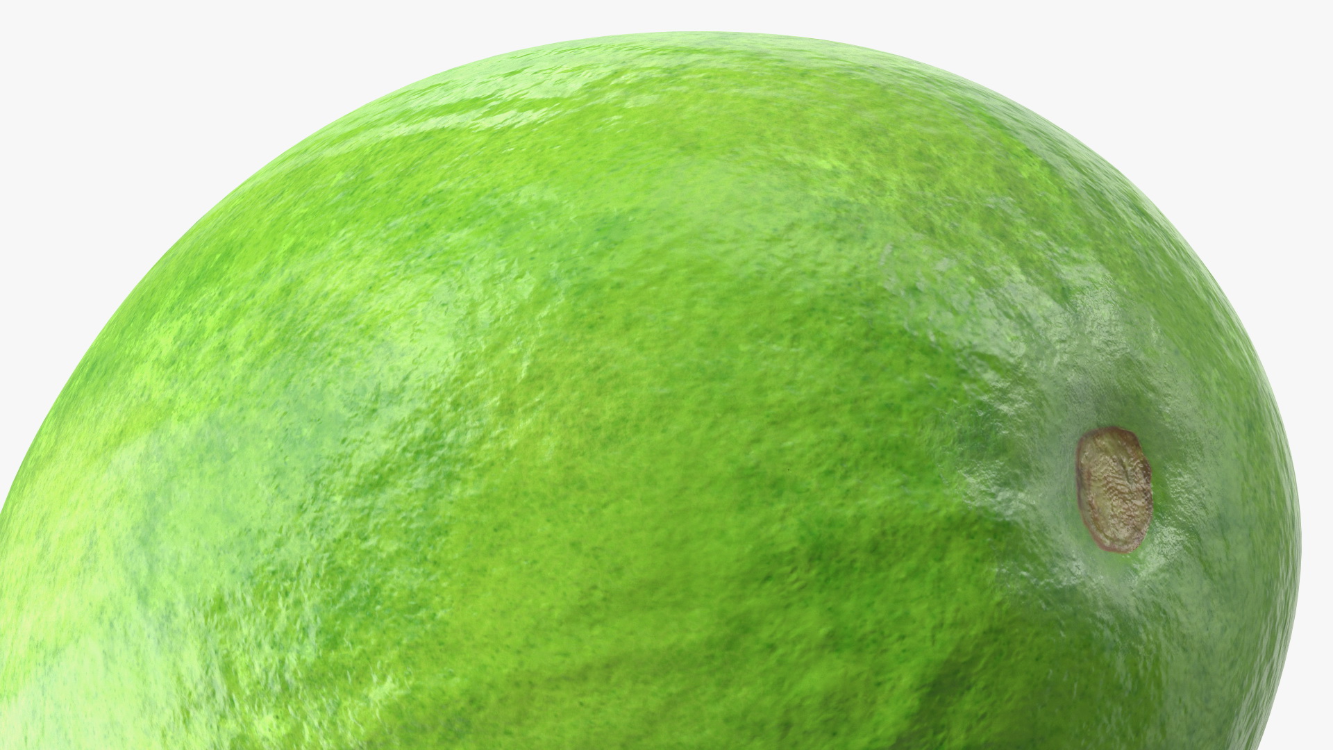 Feijoa Fruit 3D