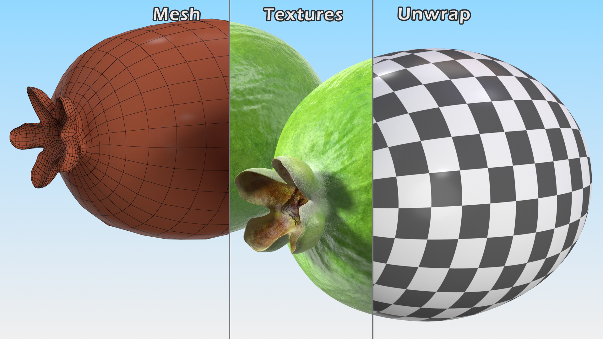 Feijoa Fruit 3D
