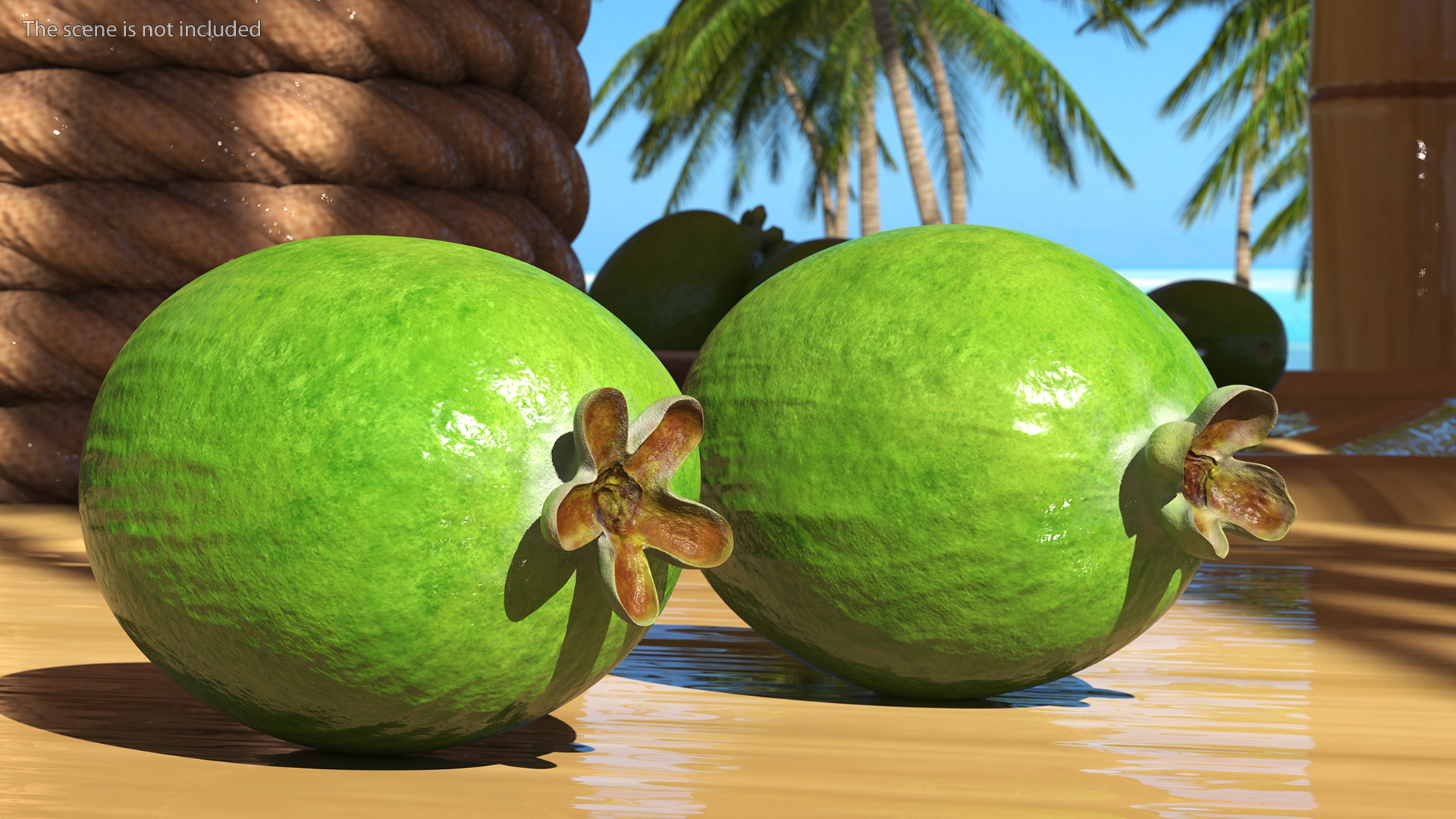 Feijoa Fruit 3D