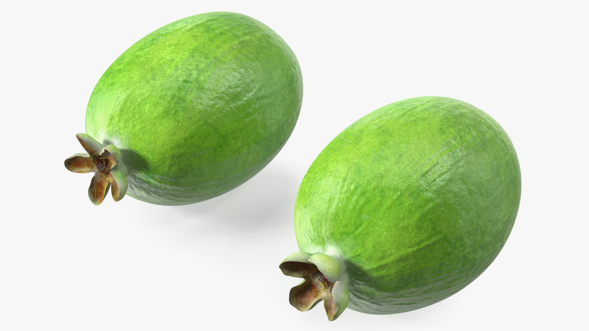 Feijoa Fruit 3D
