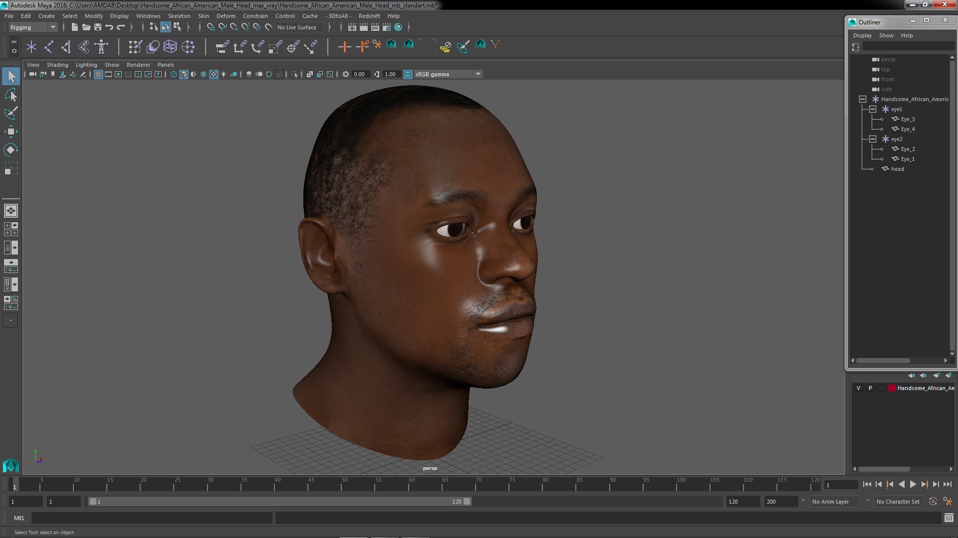 3D model Handsome African American Male Head