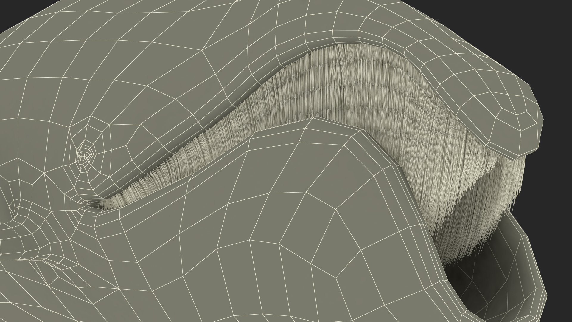 3D Sea Mammal Bowhead Whale Rest Pose Fur model