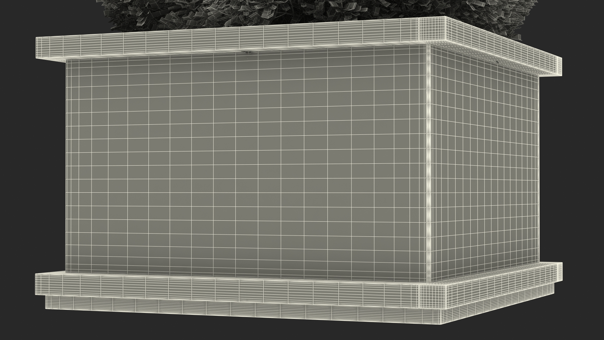 Boxwood Shrub in Wooden Box 3D