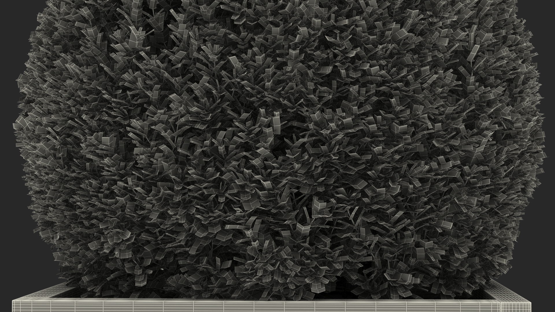 Boxwood Shrub in Wooden Box 3D