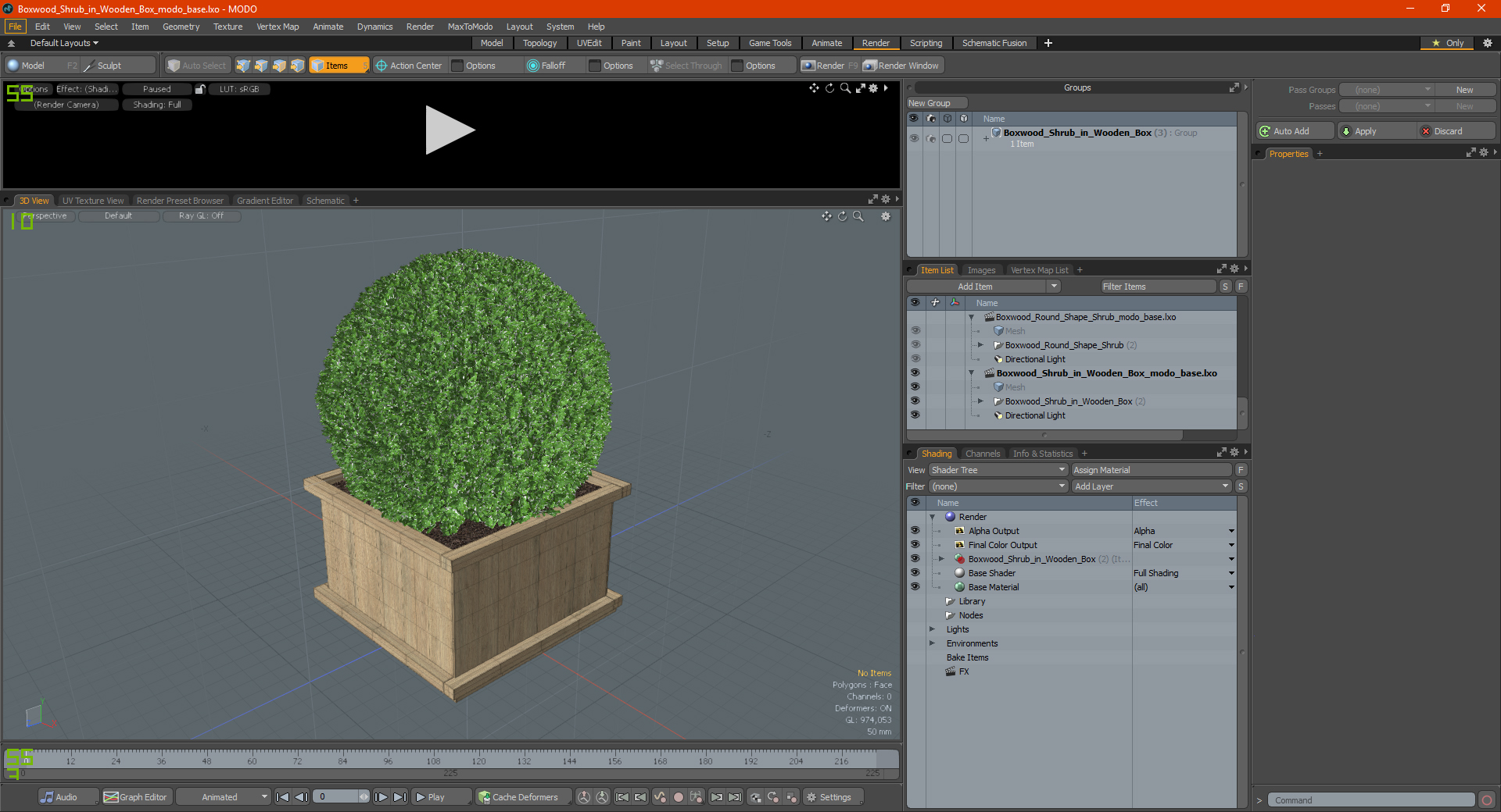 Boxwood Shrub in Wooden Box 3D