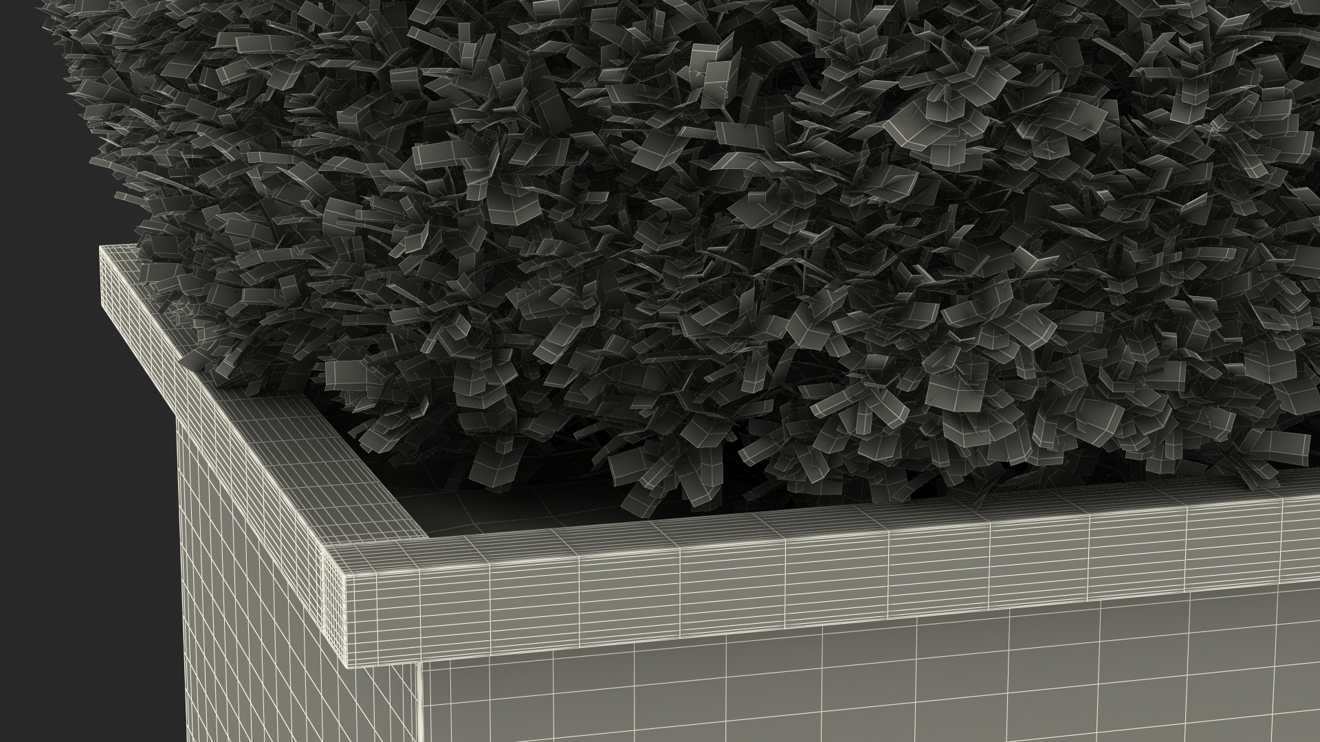 Boxwood Shrub in Wooden Box 3D
