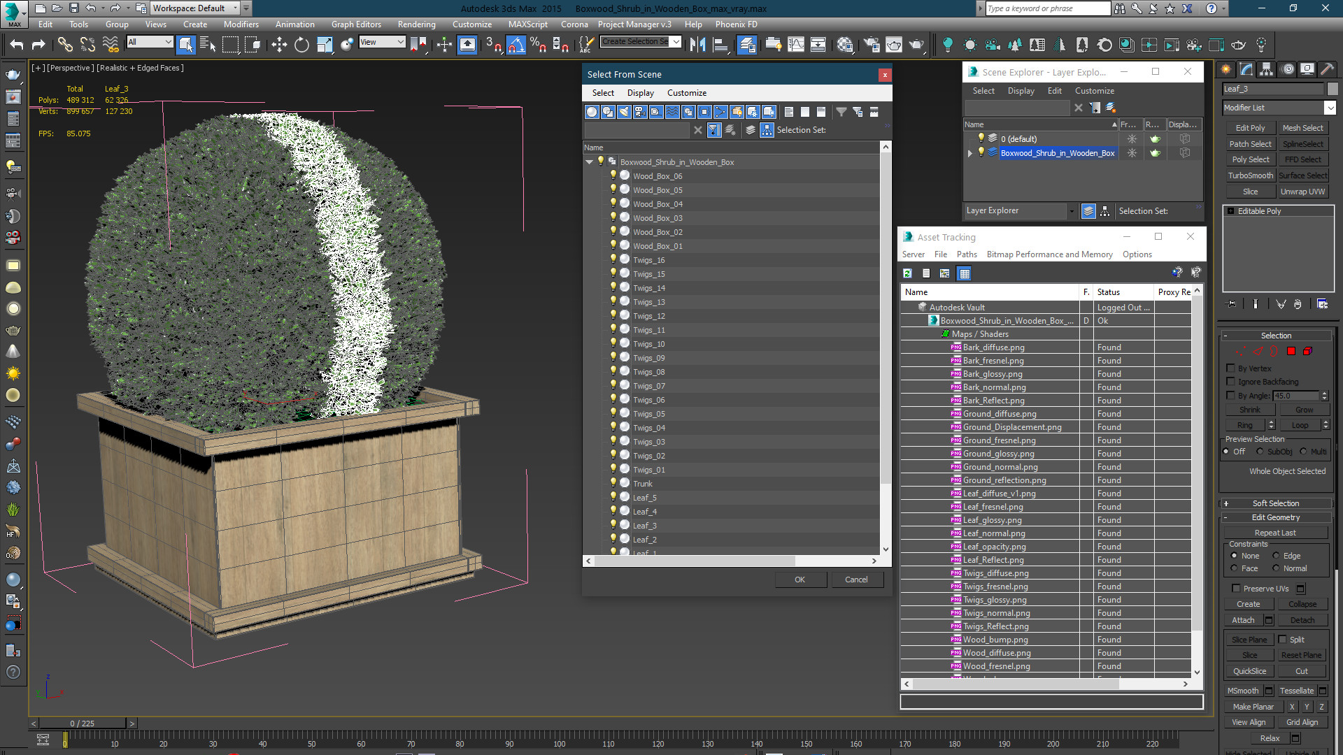 Boxwood Shrub in Wooden Box 3D