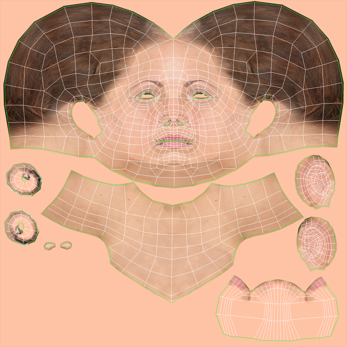 3D Professional Businesswoman Rigged model