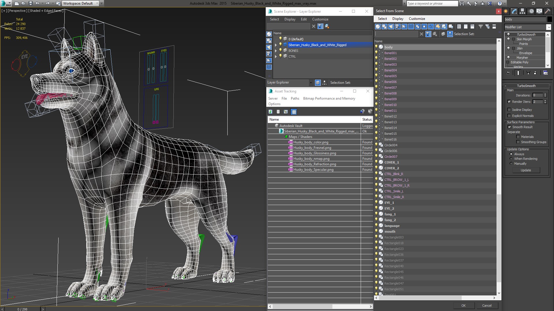 Siberian Husky Black and White Rigged 3D