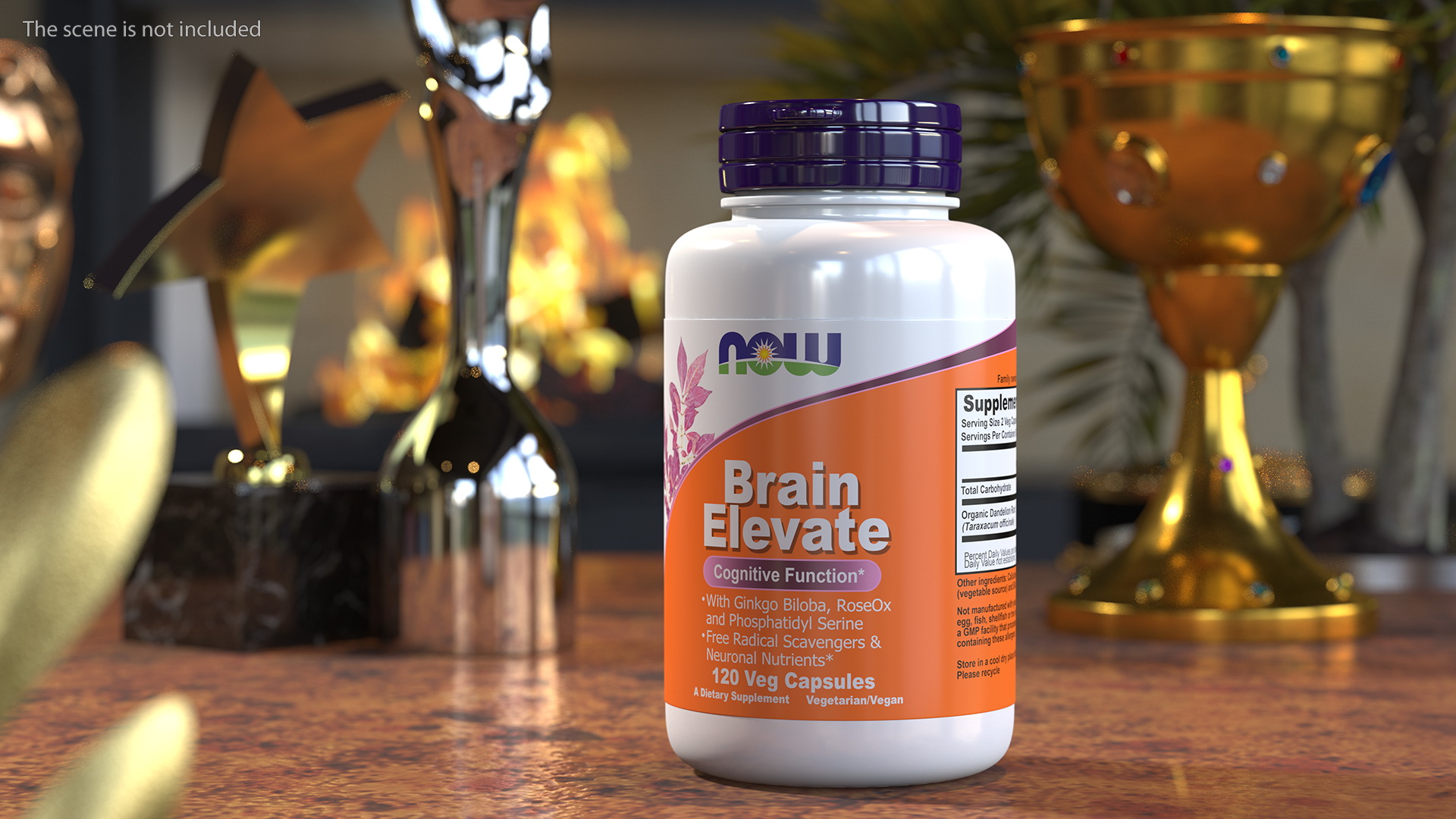3D Brain Elevate 120 Vcaps Container model