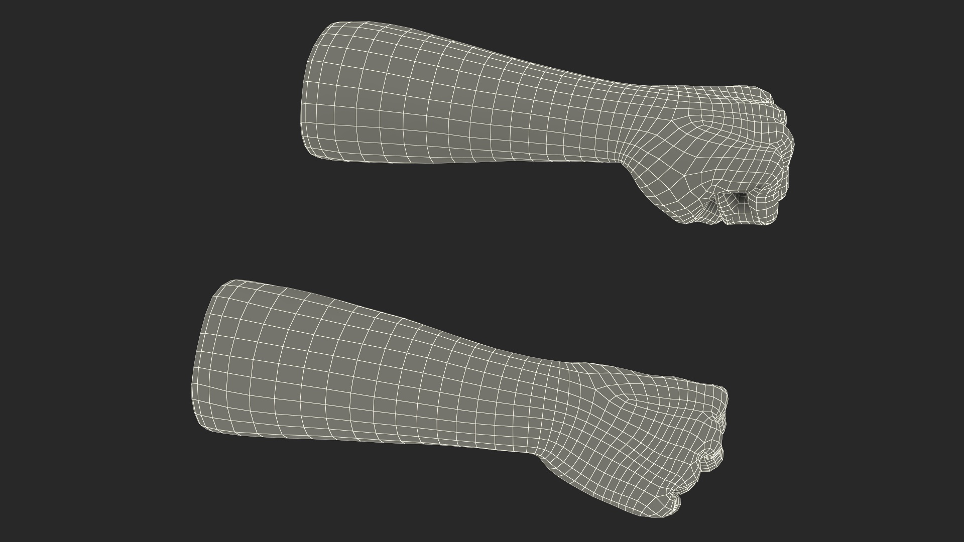 3D Realistic Human Male Arms with Fists