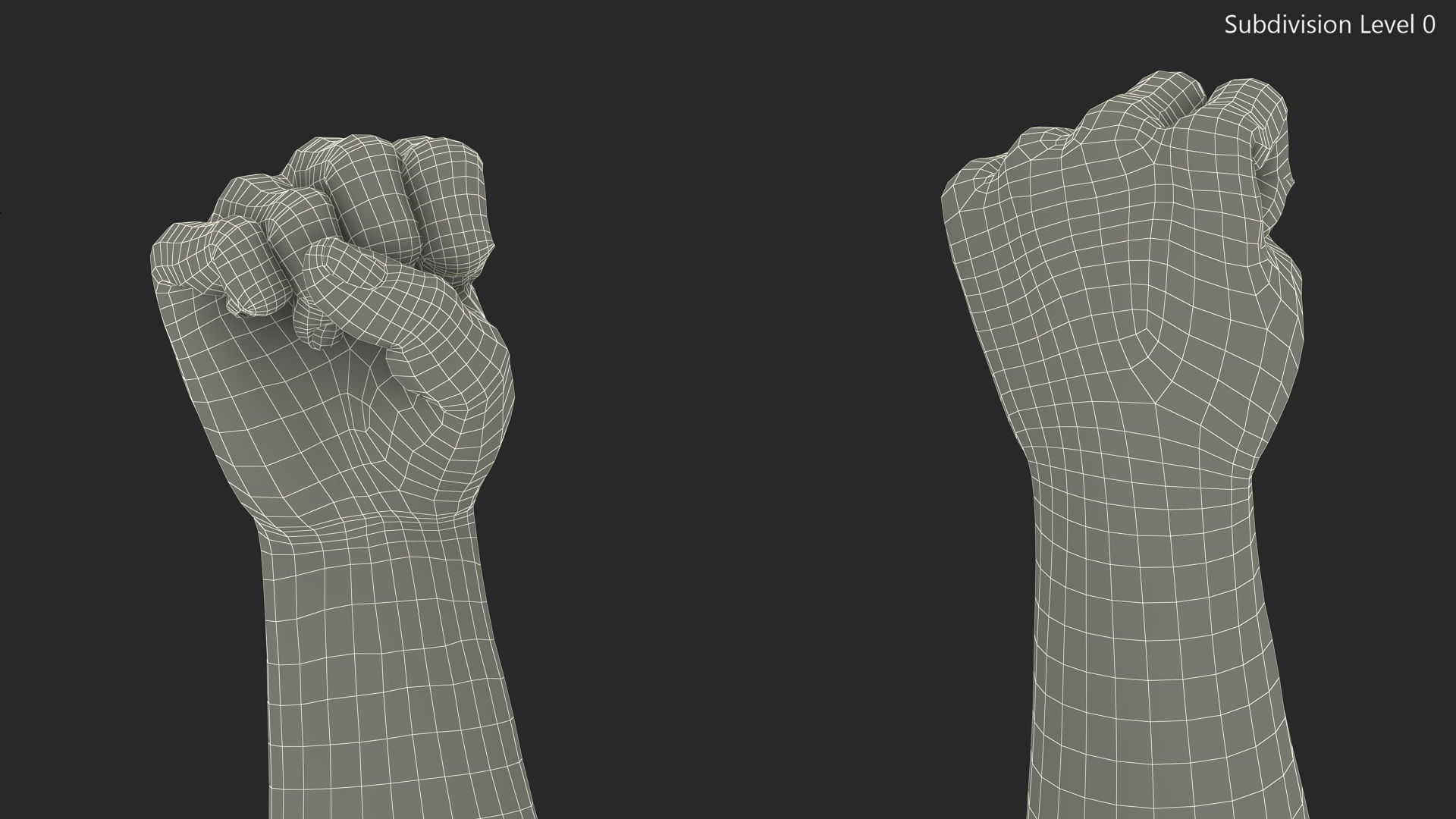 3D Realistic Human Male Arms with Fists