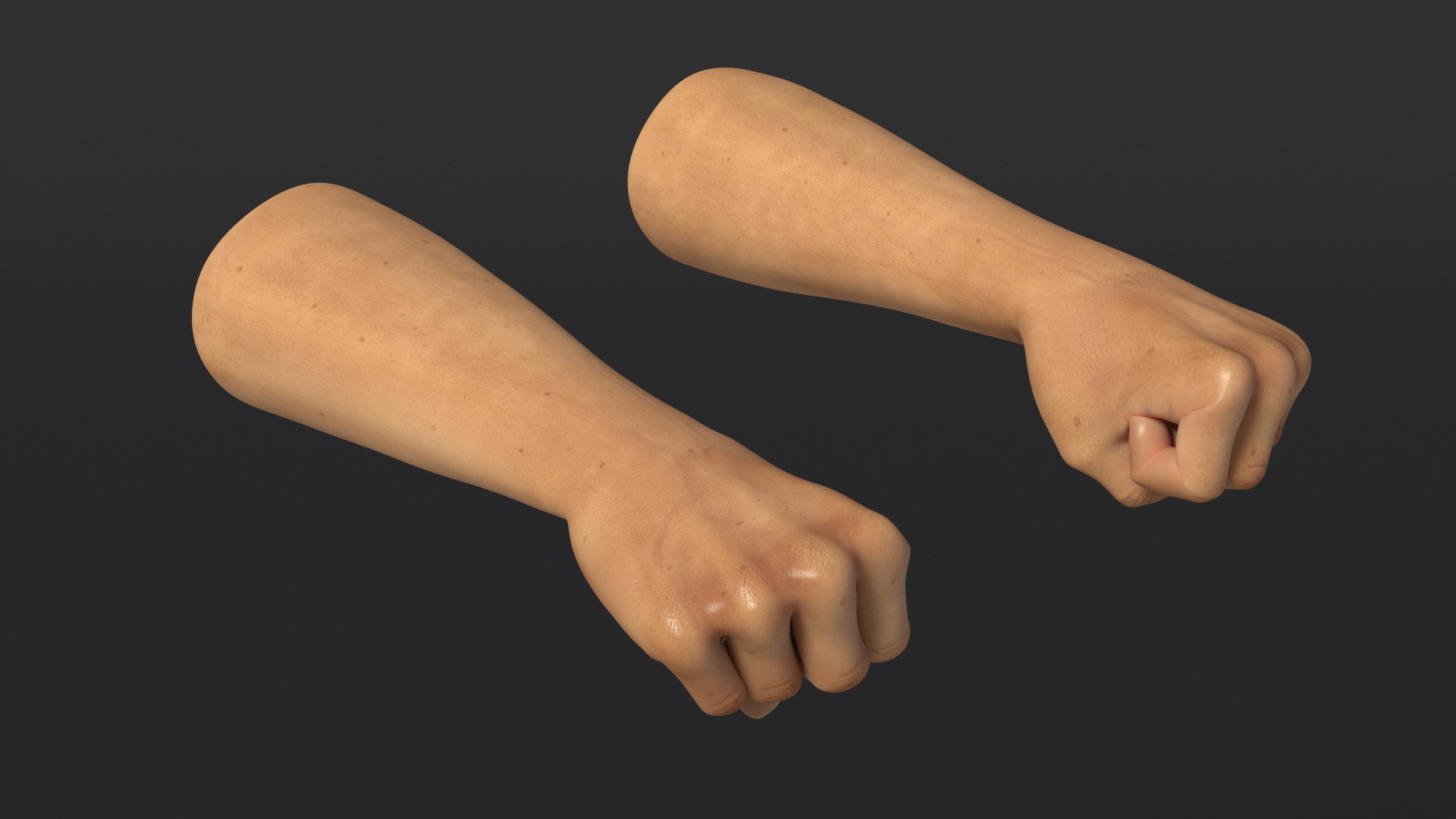3D Realistic Human Male Arms with Fists