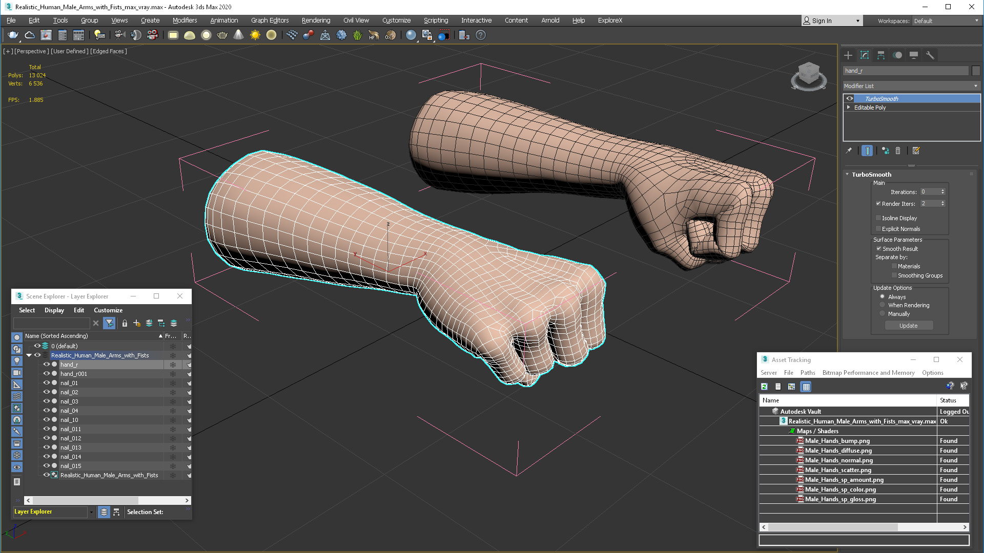 3D Realistic Human Male Arms with Fists