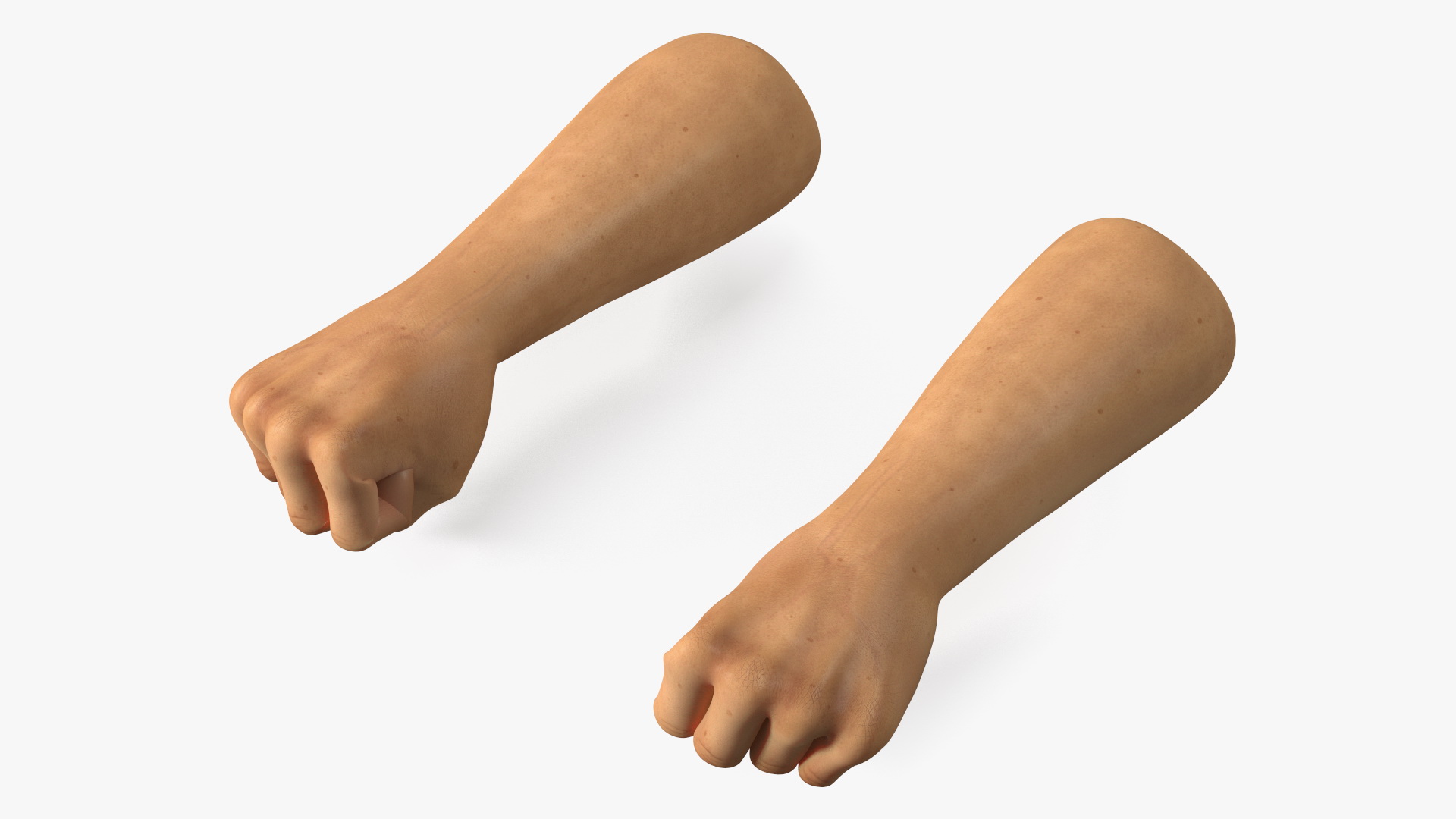 3D Realistic Human Male Arms with Fists
