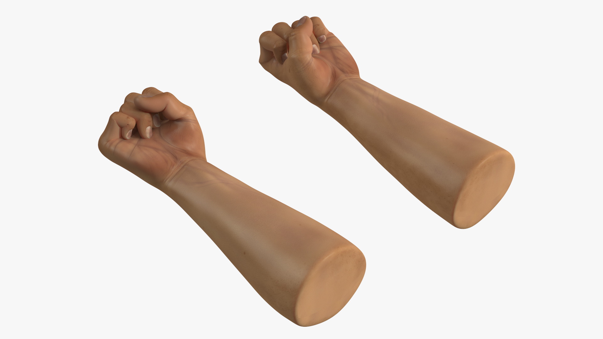 3D Realistic Human Male Arms with Fists
