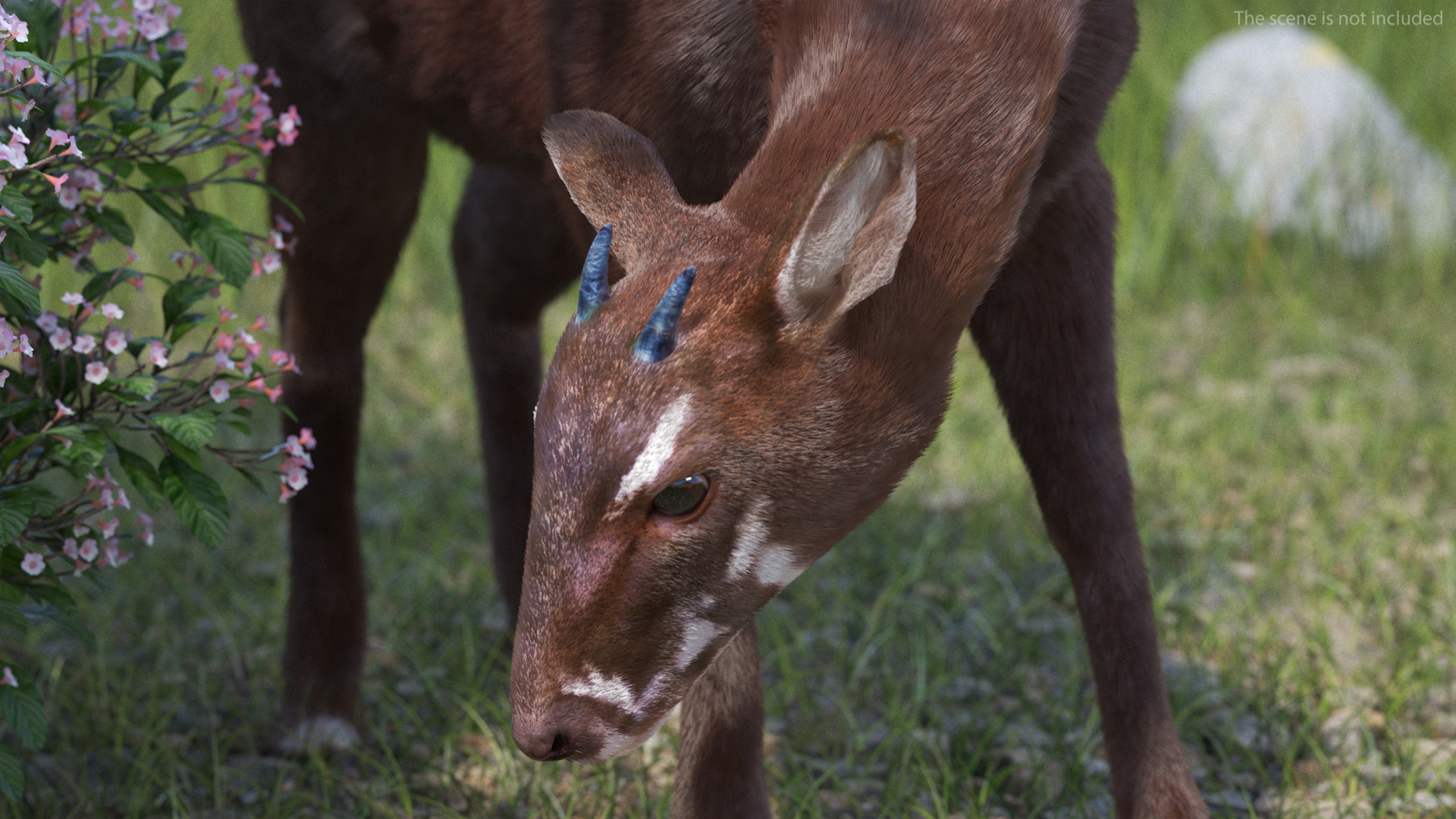 3D Saola Fur Rigged