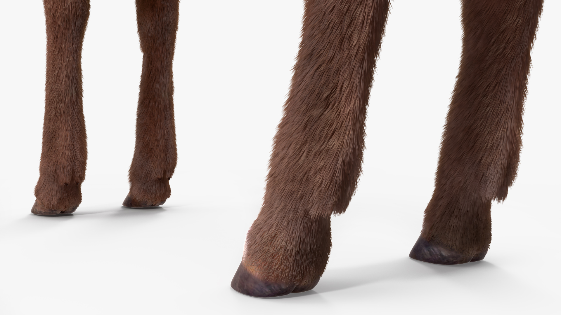 3D Saola Fur Rigged