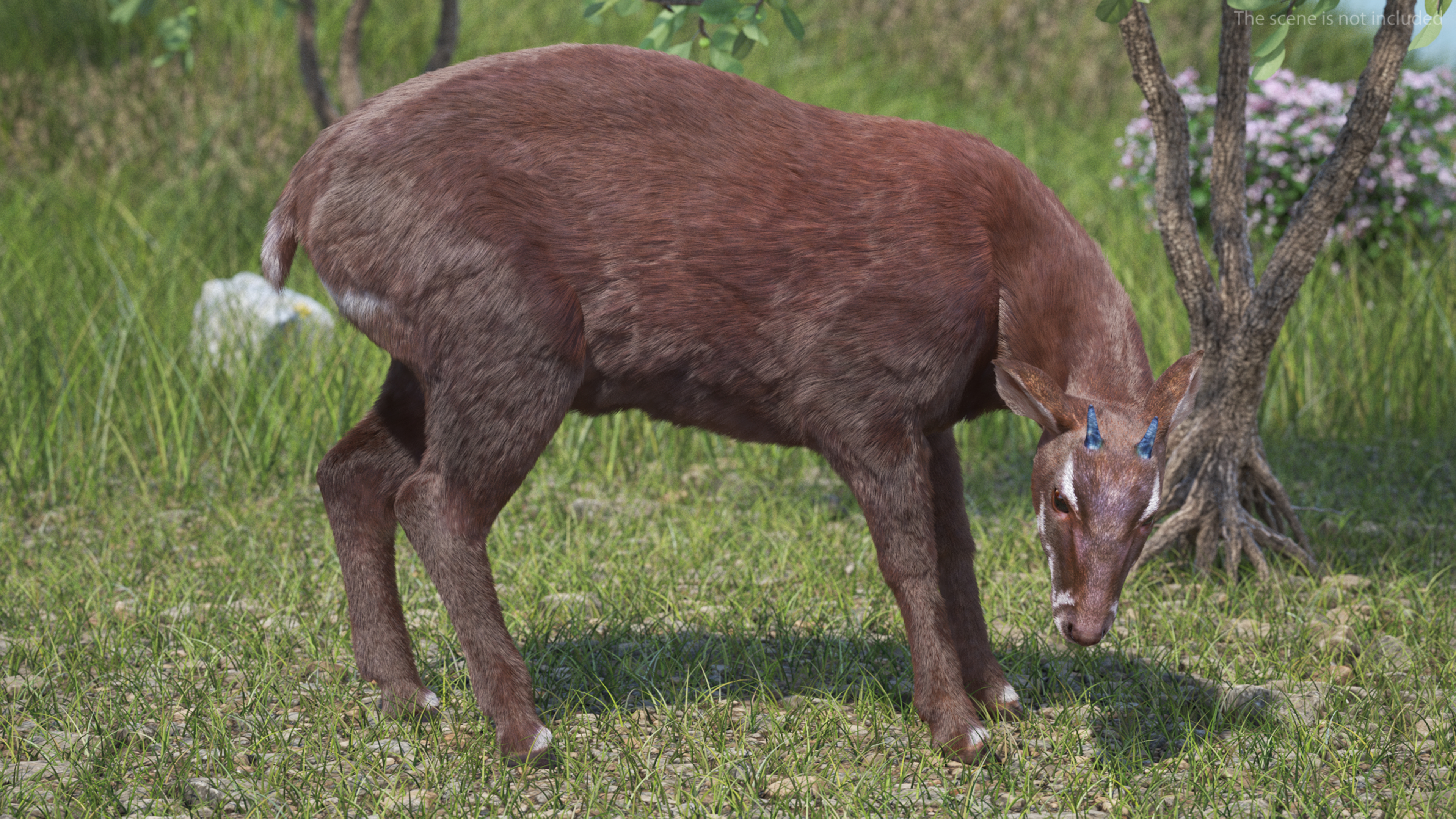 3D Saola Fur Rigged