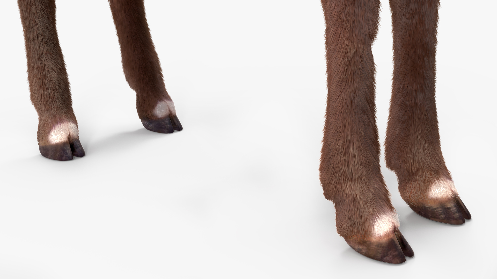 3D Saola Fur Rigged