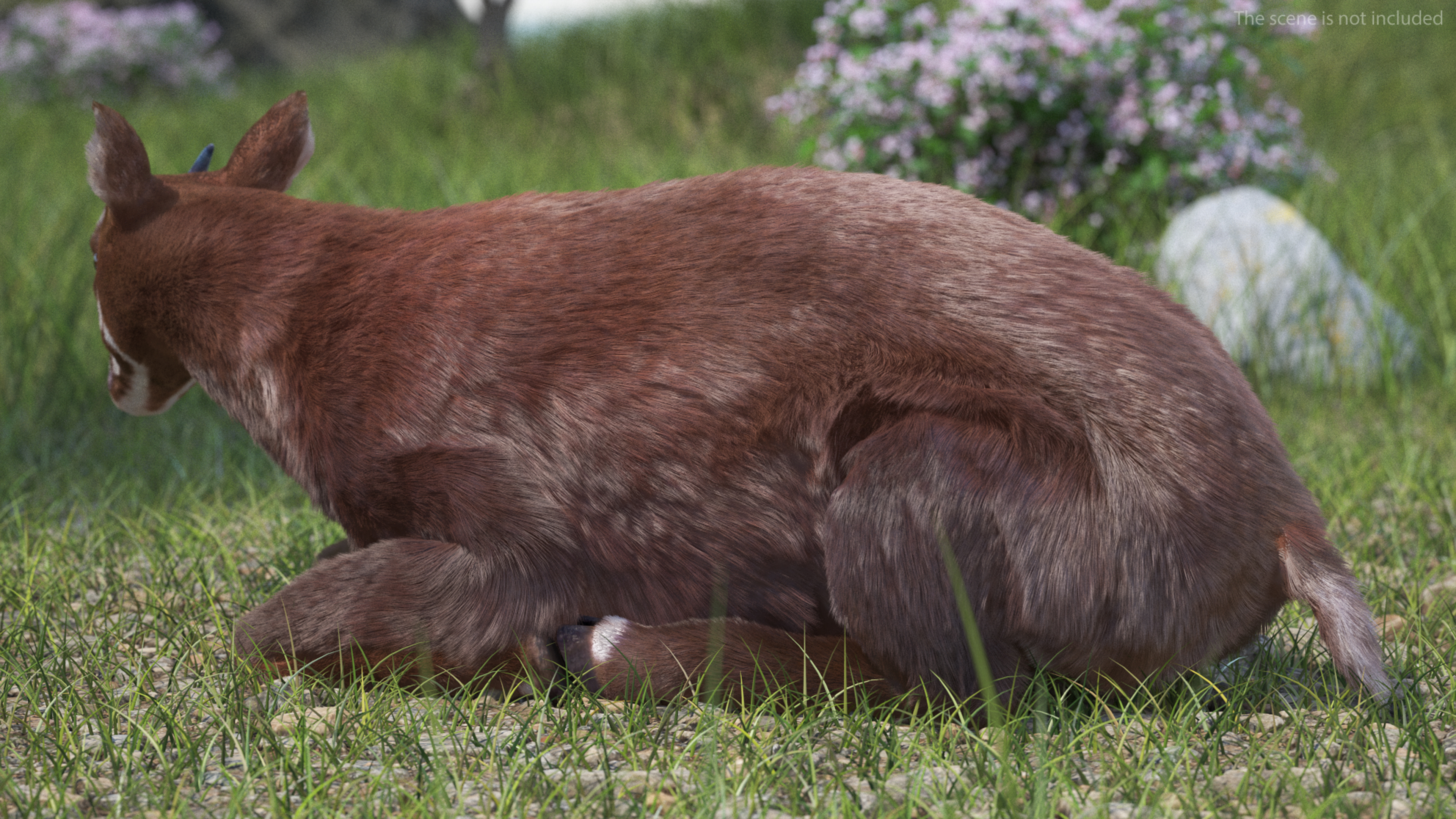 3D Saola Fur Rigged