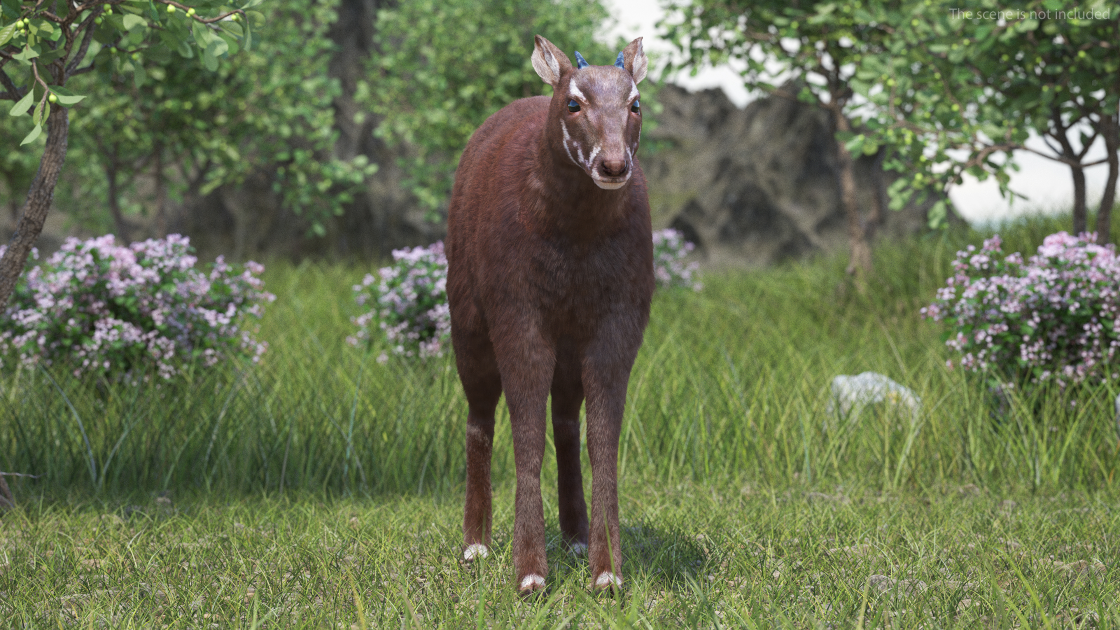 3D Saola Fur Rigged