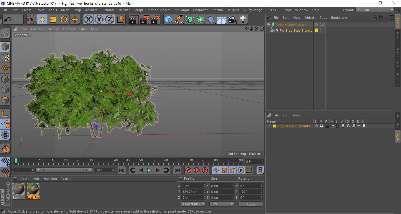 Fig Tree Two Trunks 3D model