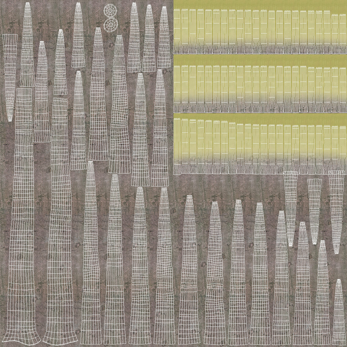 Fig Tree Two Trunks 3D model