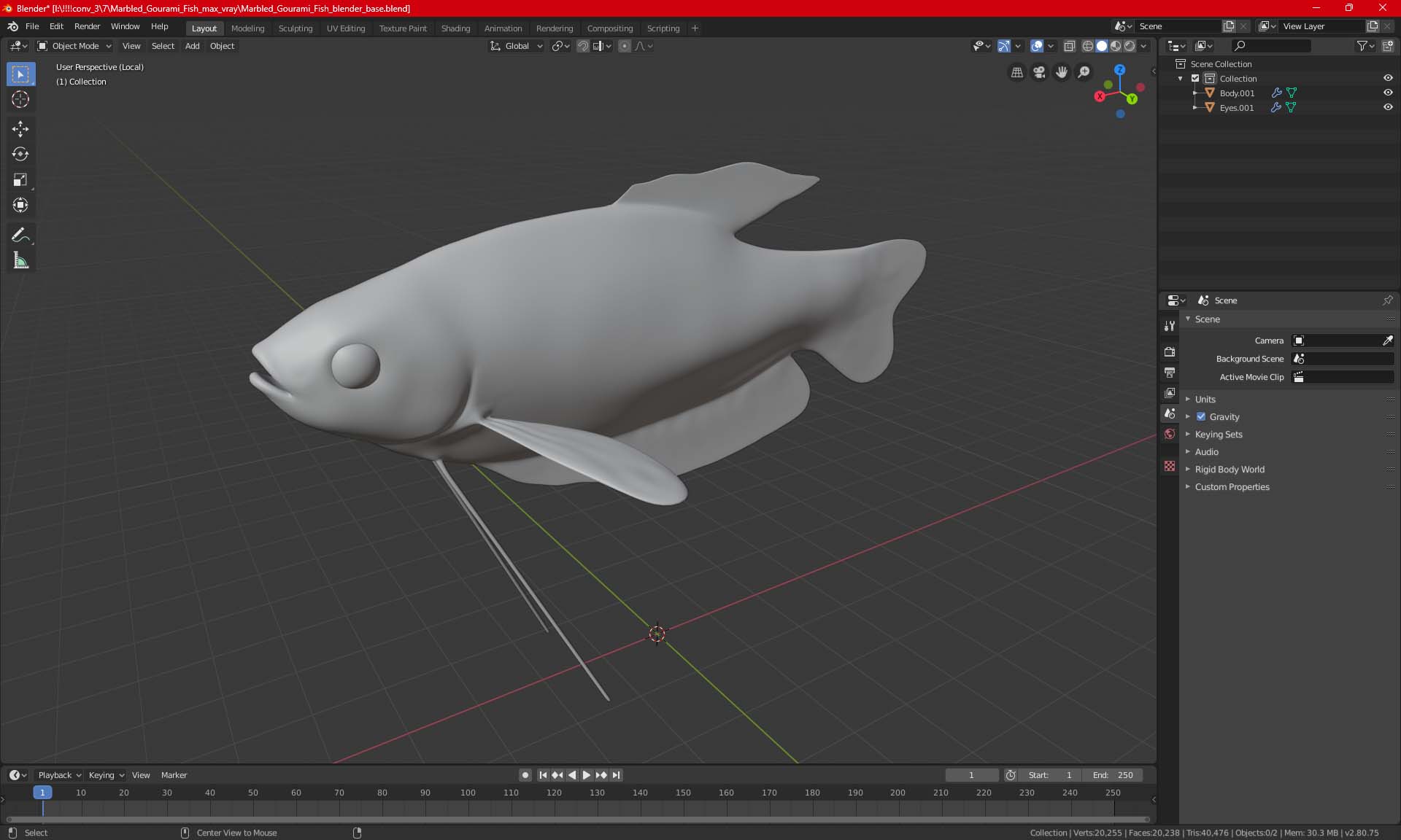 3D model Cobalt Blue Dwarf Gourami Fish