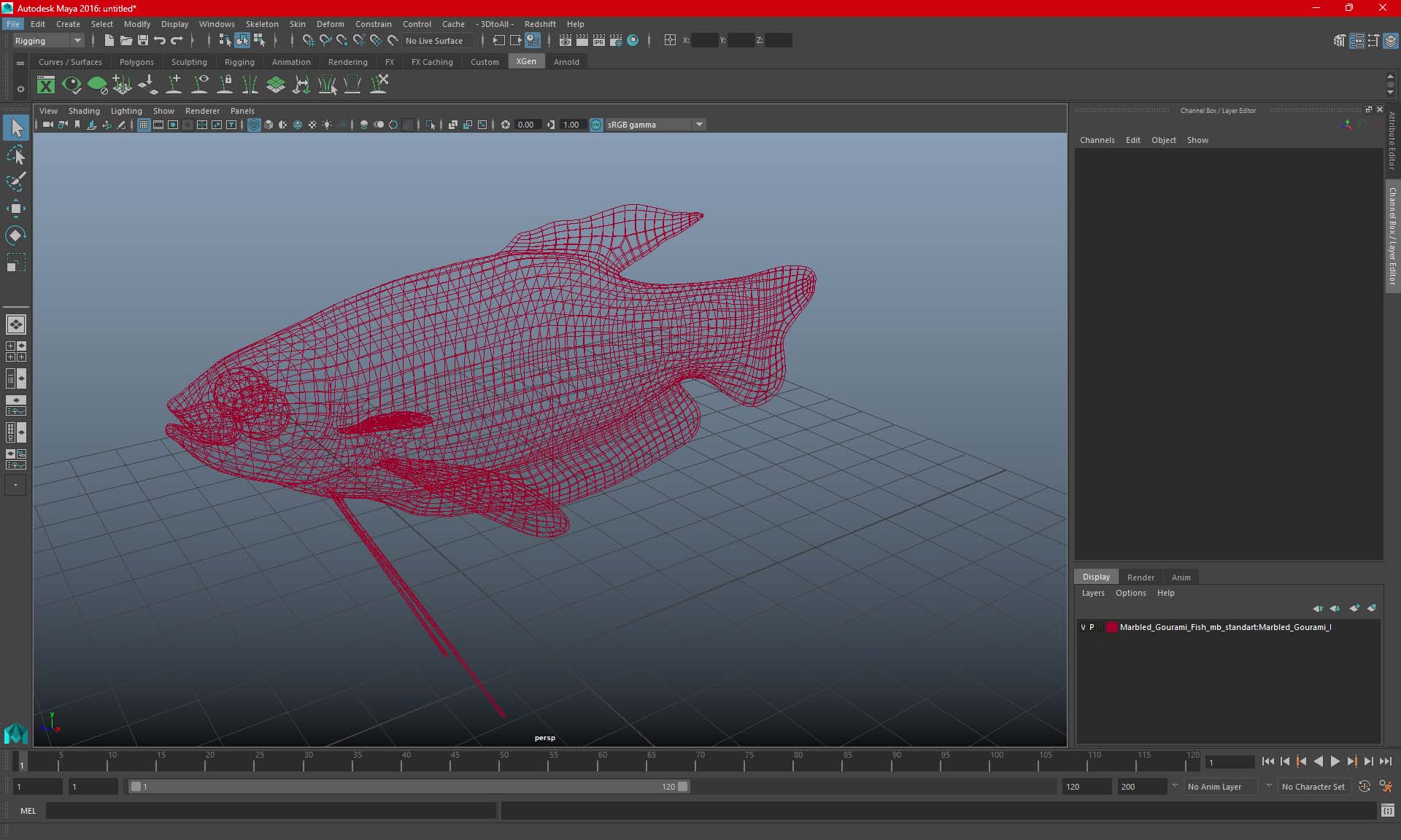 3D model Cobalt Blue Dwarf Gourami Fish