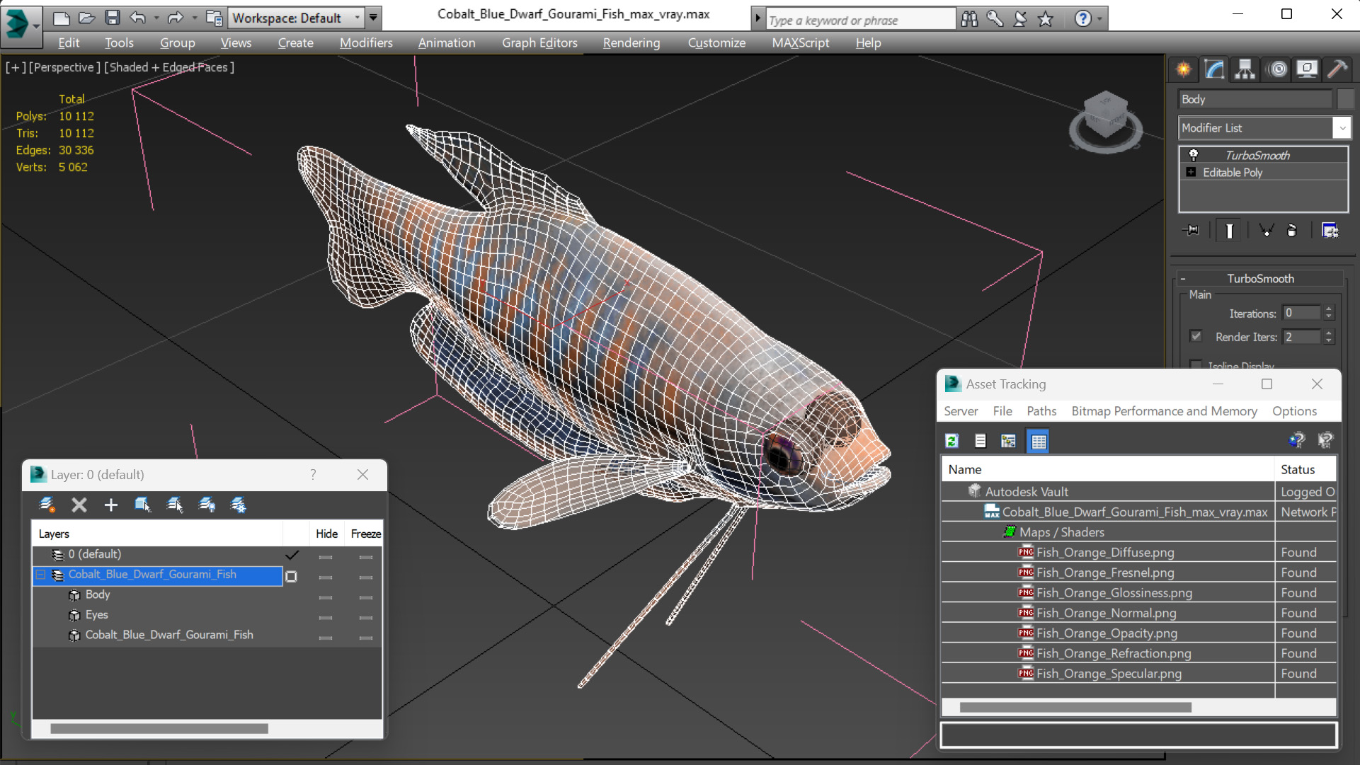 3D model Cobalt Blue Dwarf Gourami Fish