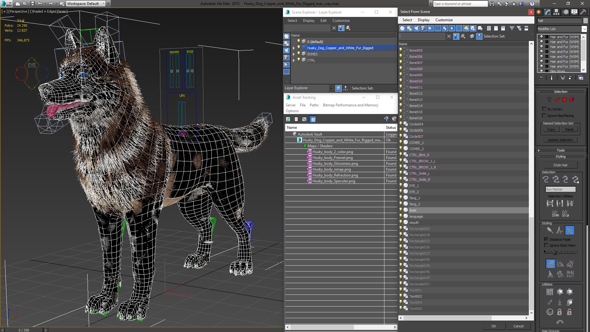 Husky Dog Copper and White Fur Rigged 3D