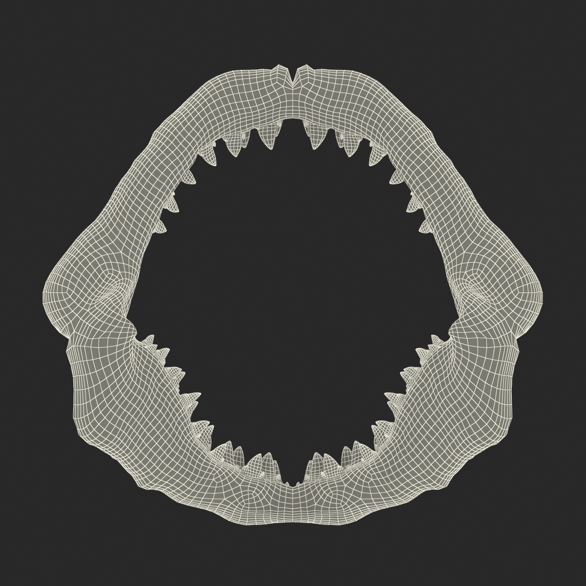3D Great White Shark Jaw Bone