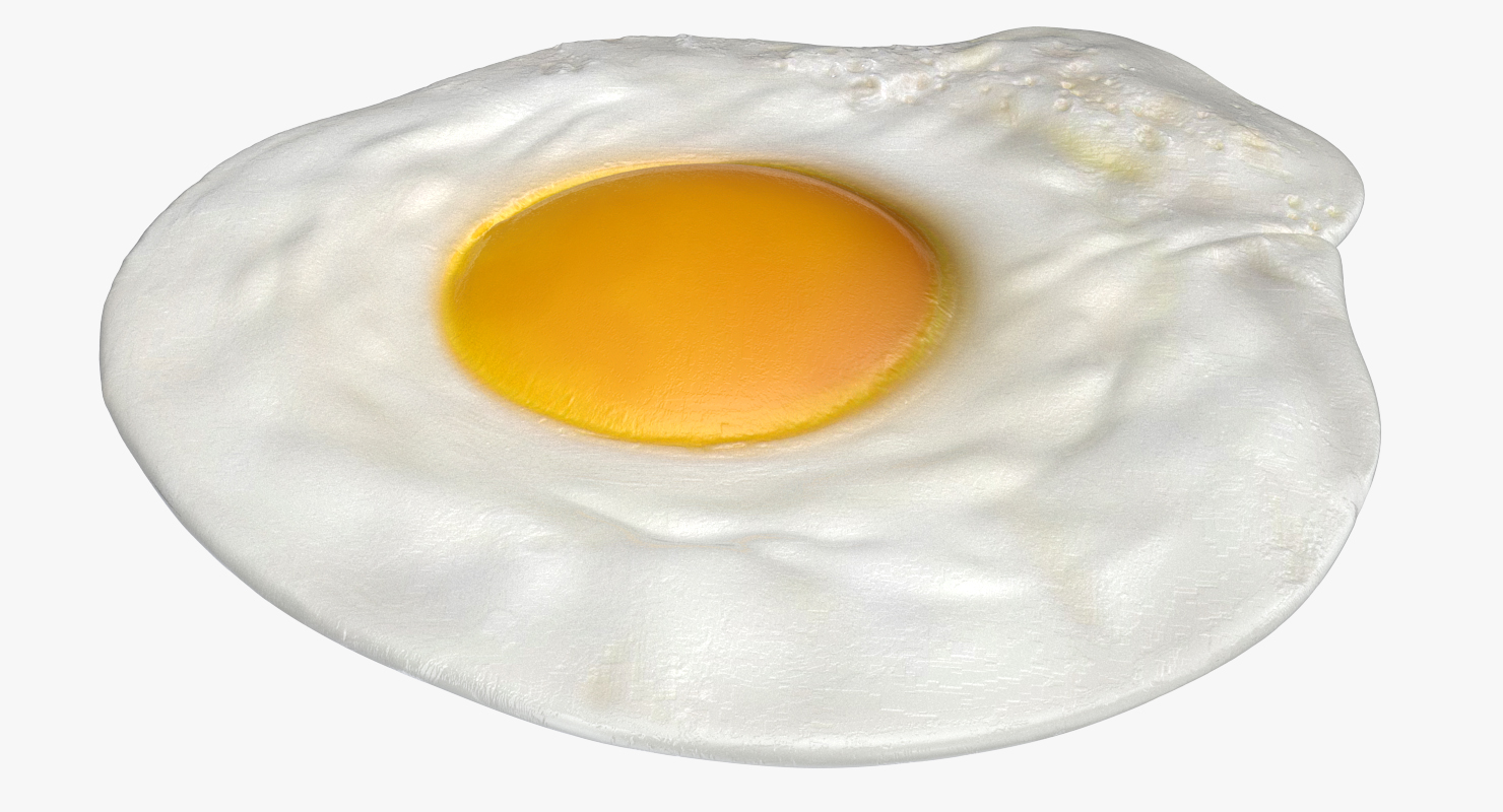 Fried Egg 3D model
