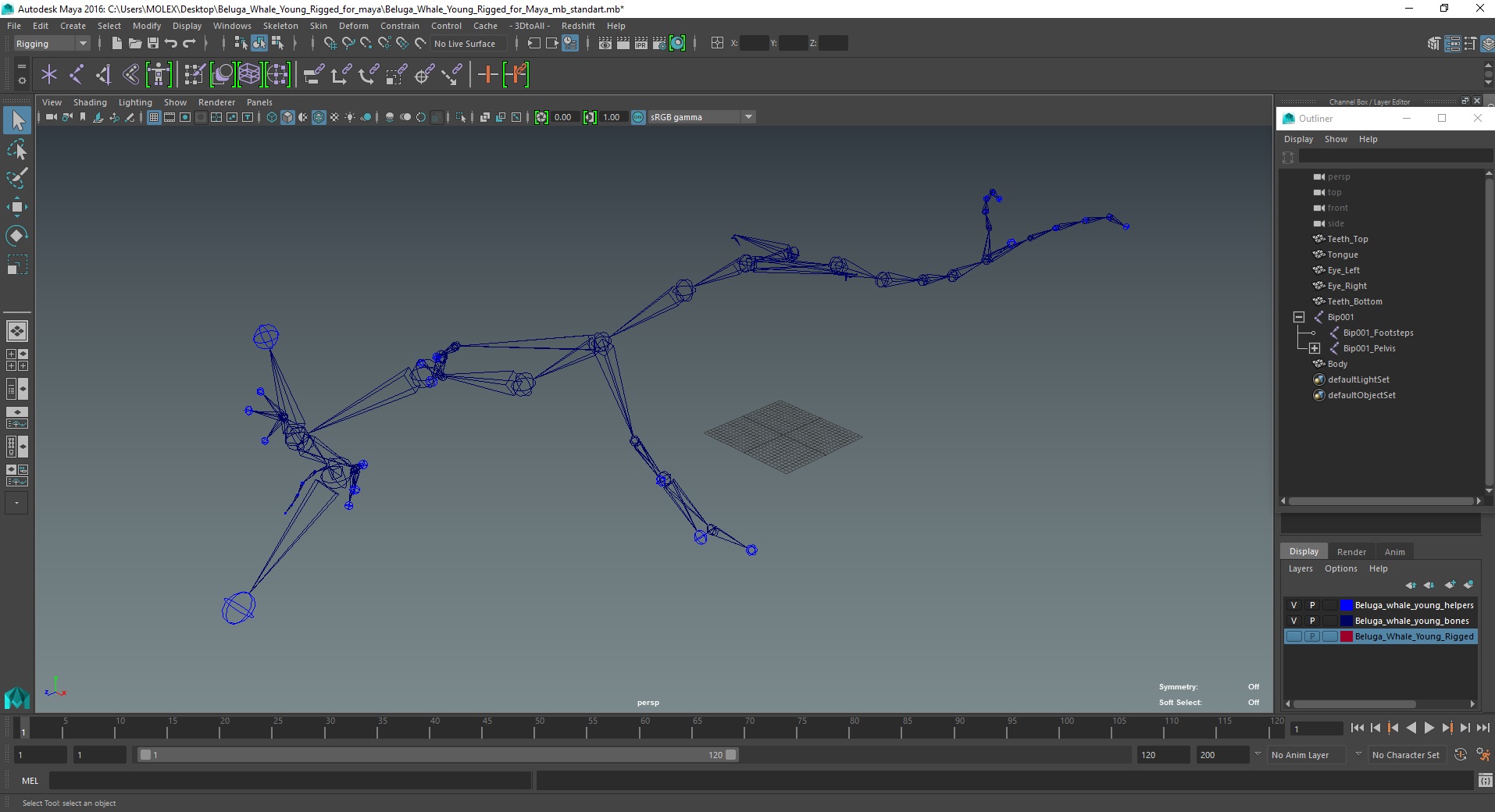 Beluga Whale Young Rigged for Maya 3D model