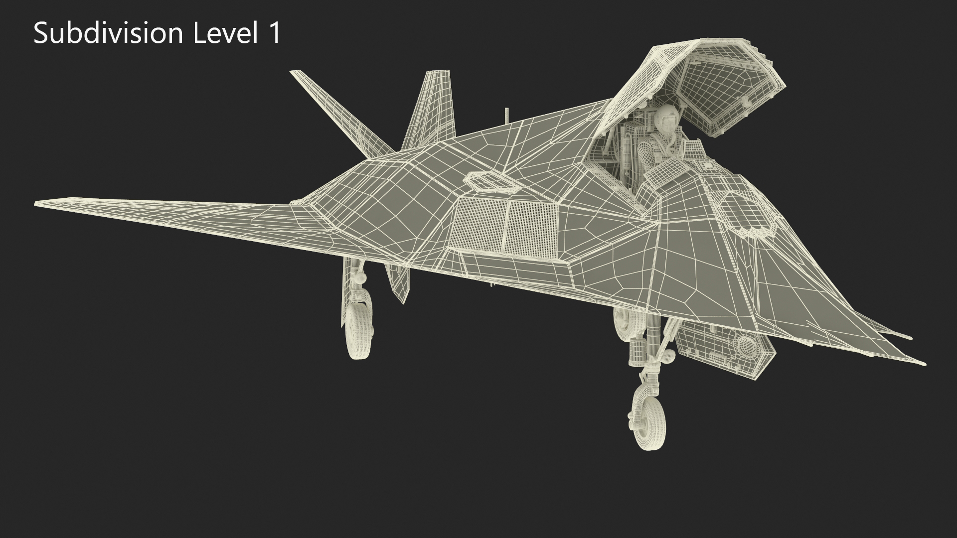 Combat Aircraft Stealth with Pilot 3D model