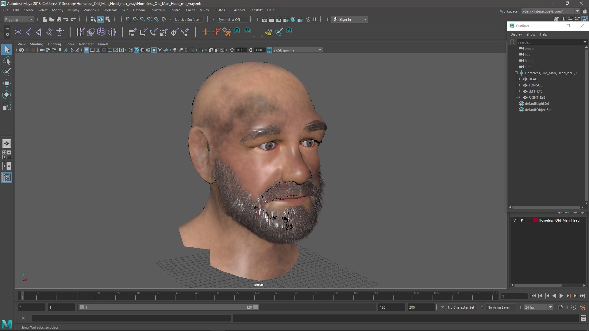 3D Homeless Old Man Head