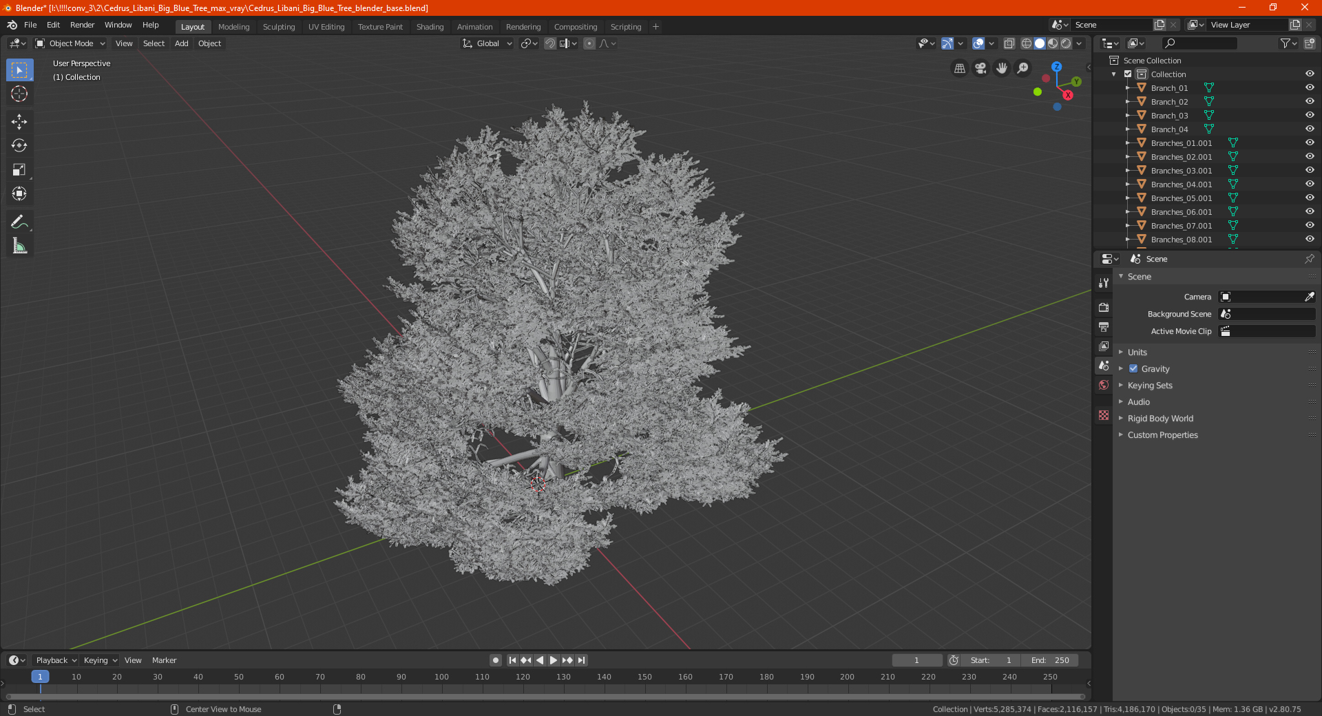 Cedrus Libani Big Blue Tree 3D