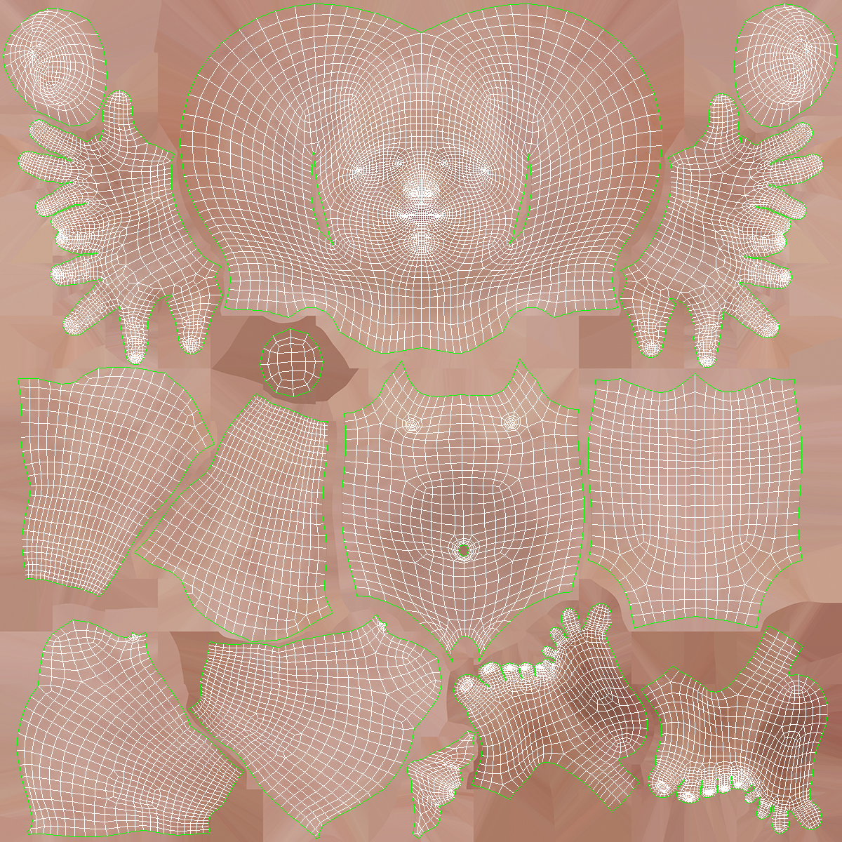 3D Human Fetus at 24 Weeks model