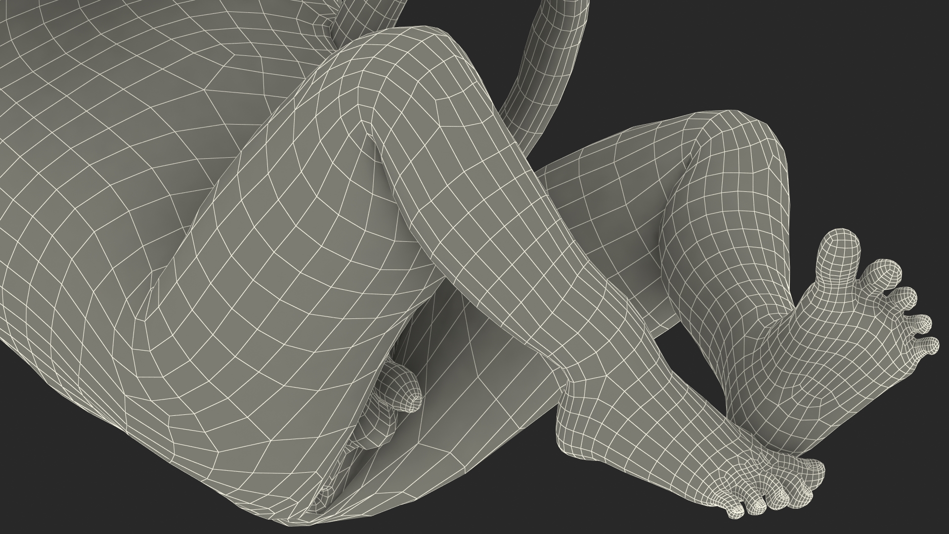 3D Human Fetus at 24 Weeks model