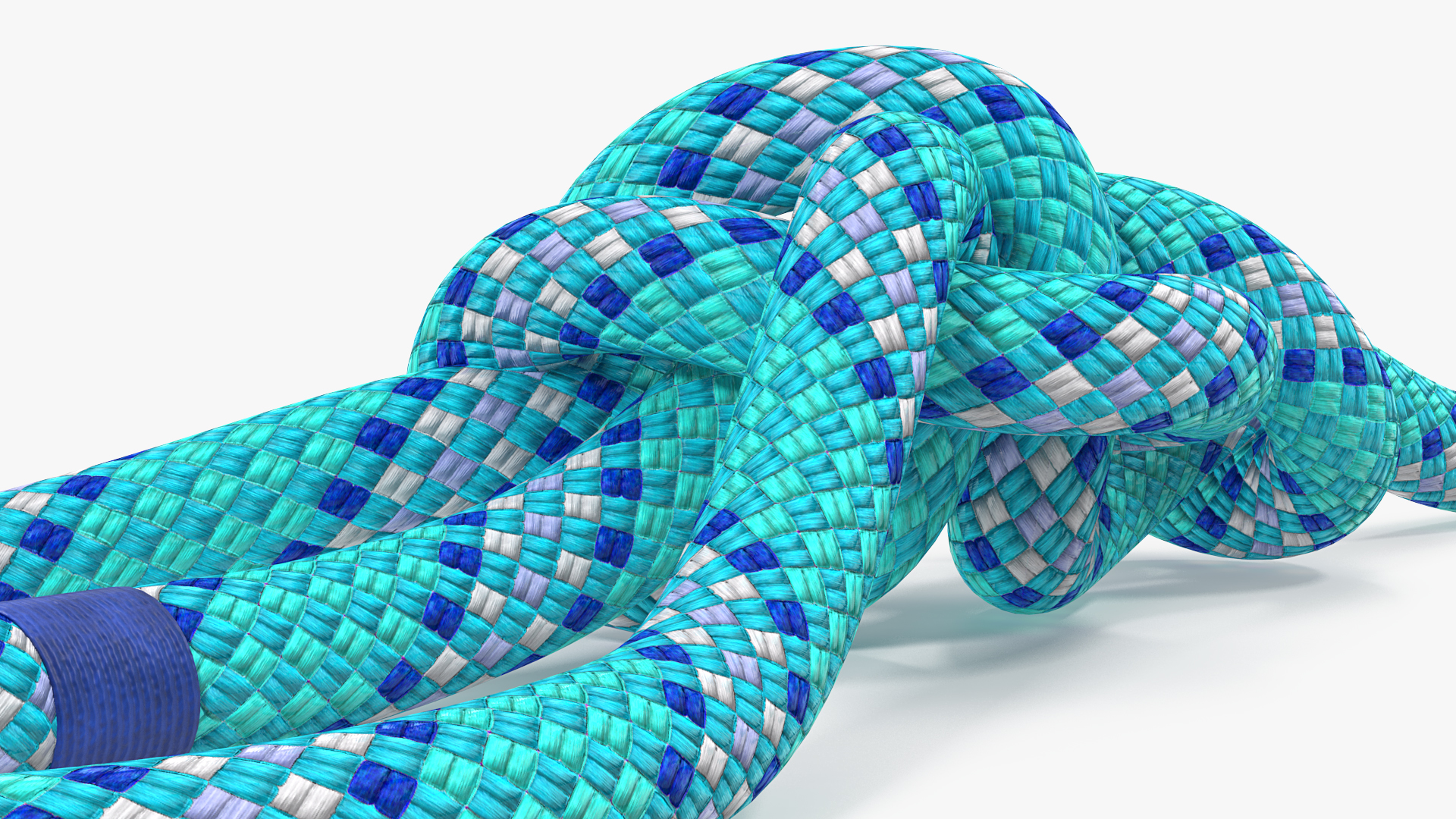 3D Water Bowline Rope Knot model