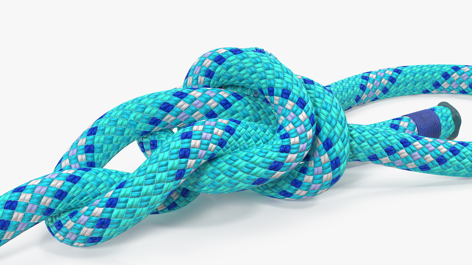 3D Water Bowline Rope Knot model