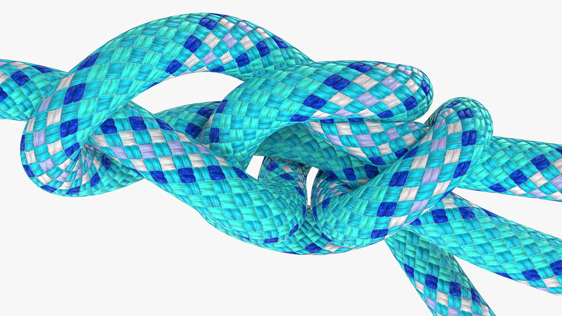 3D Water Bowline Rope Knot model