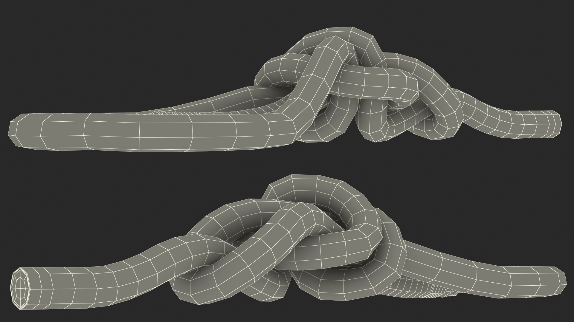3D Water Bowline Rope Knot model