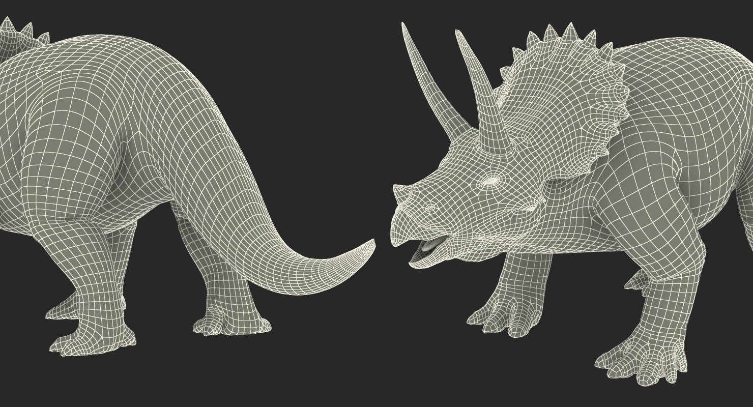 3D Triceratops