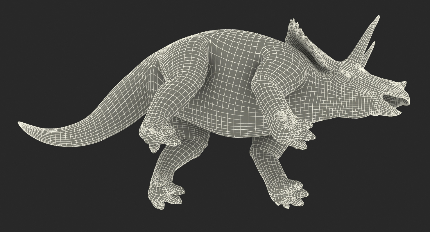 3D Triceratops