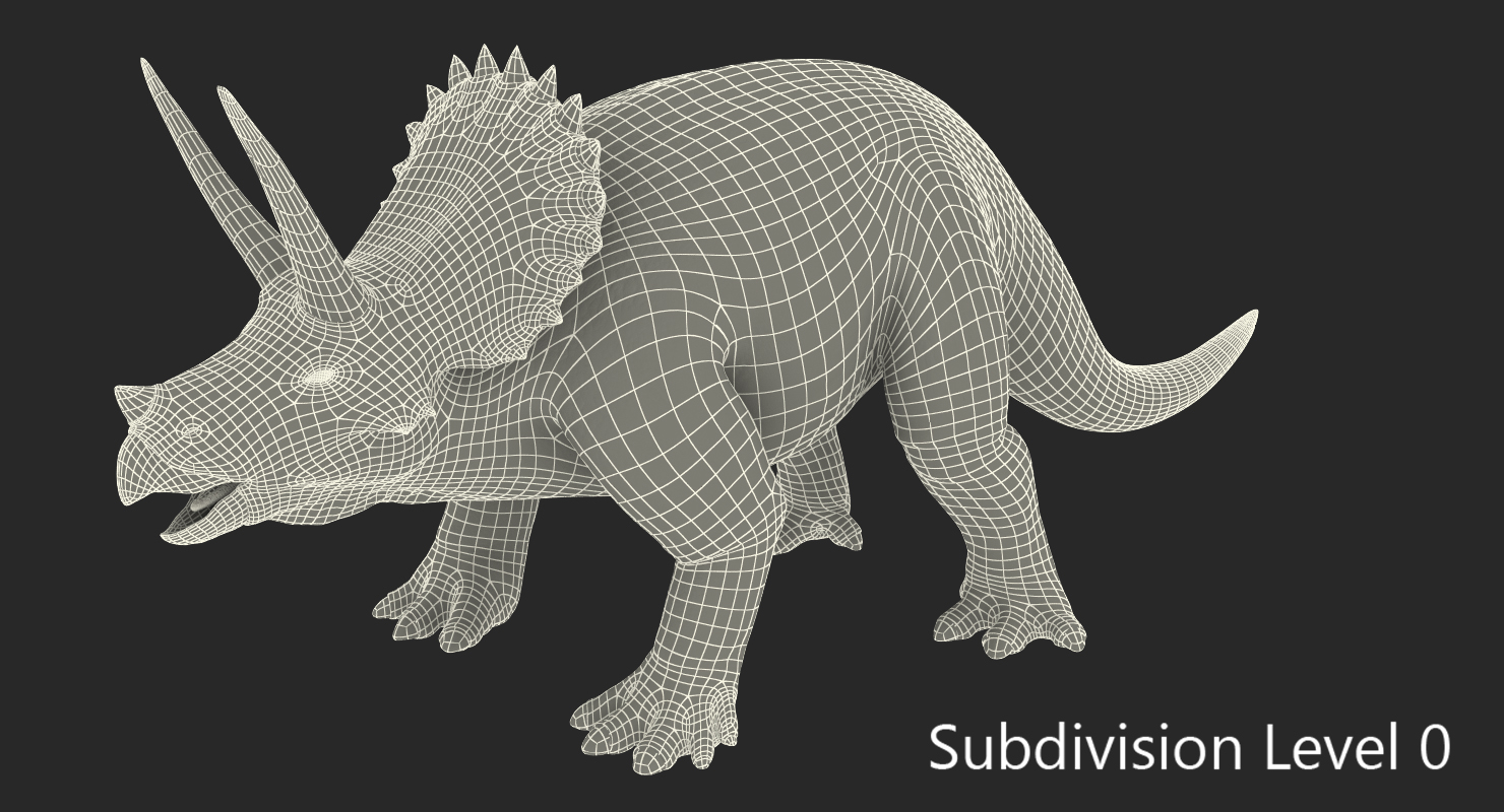3D Triceratops