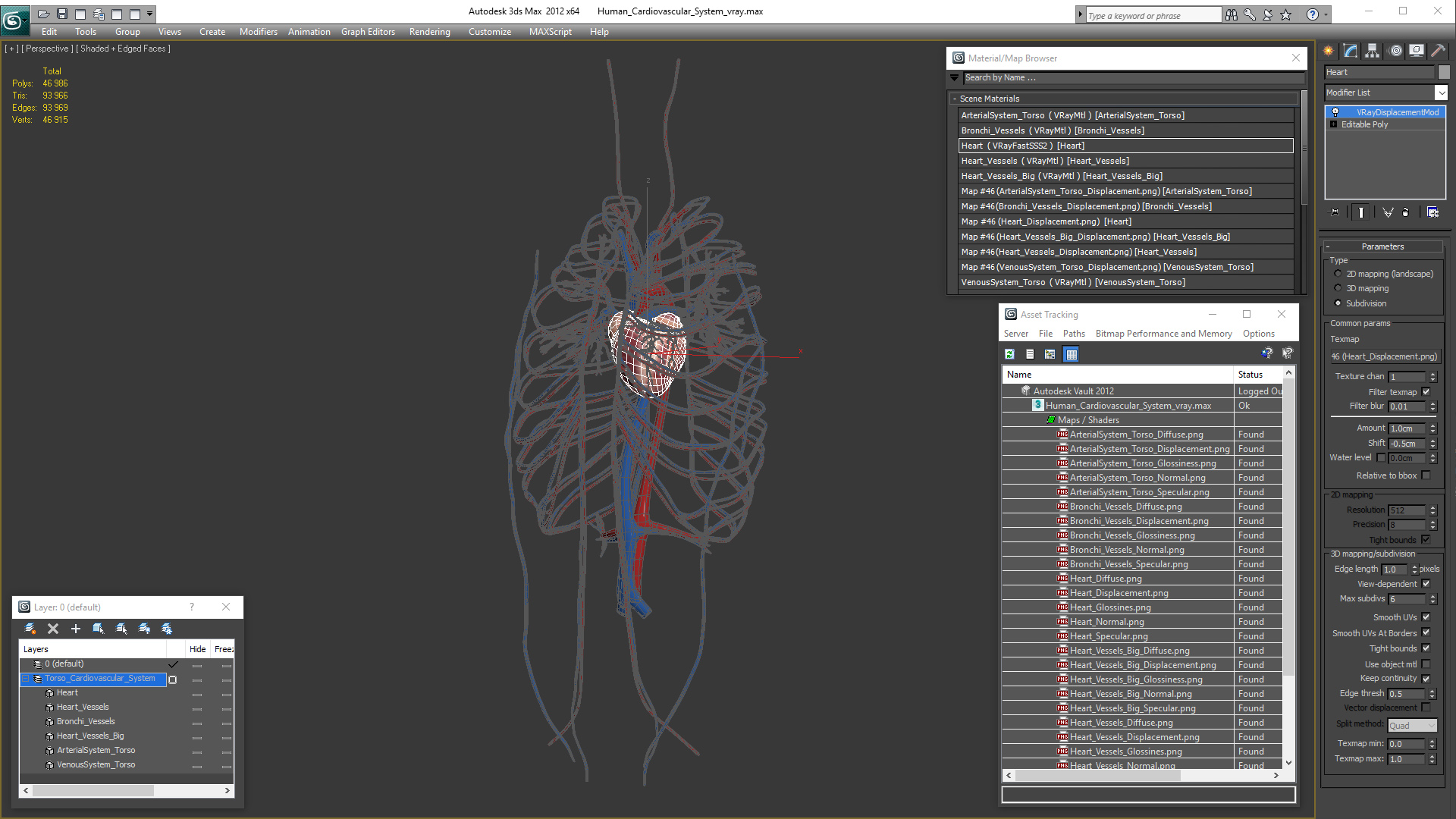 Human Cardiovascular System 3D