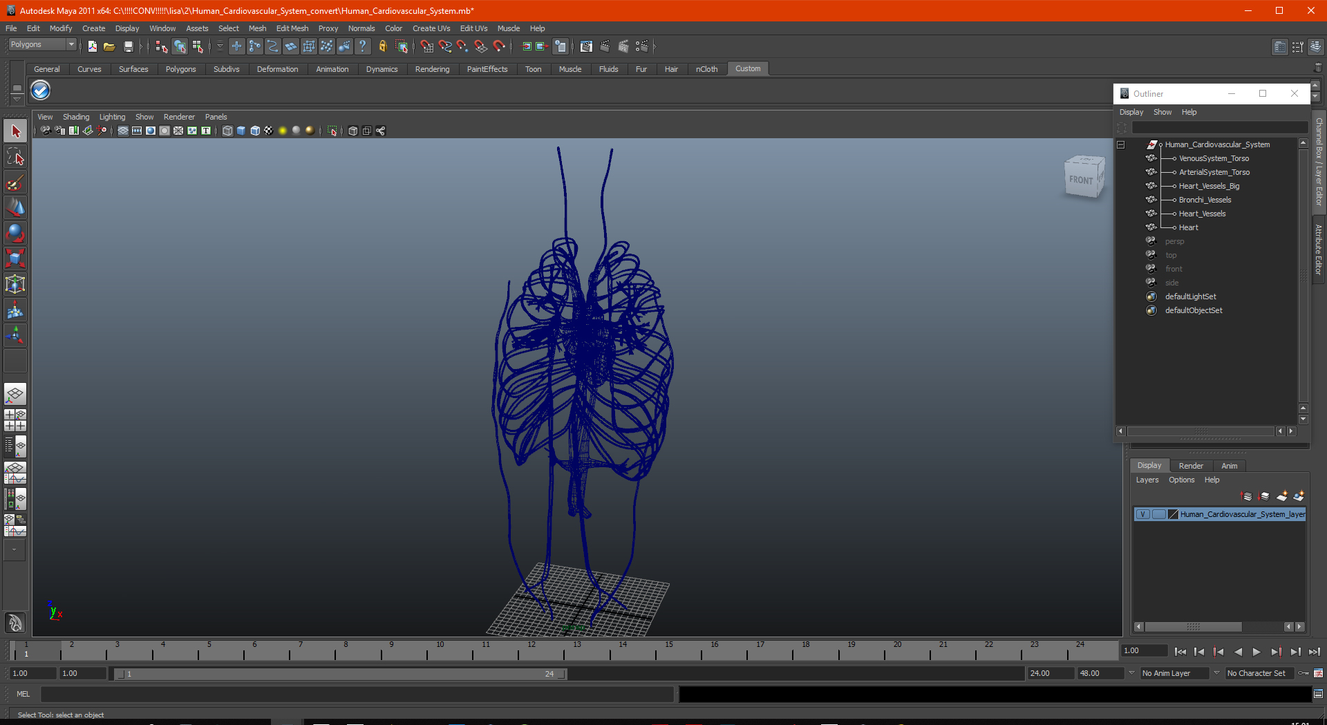 Human Cardiovascular System 3D